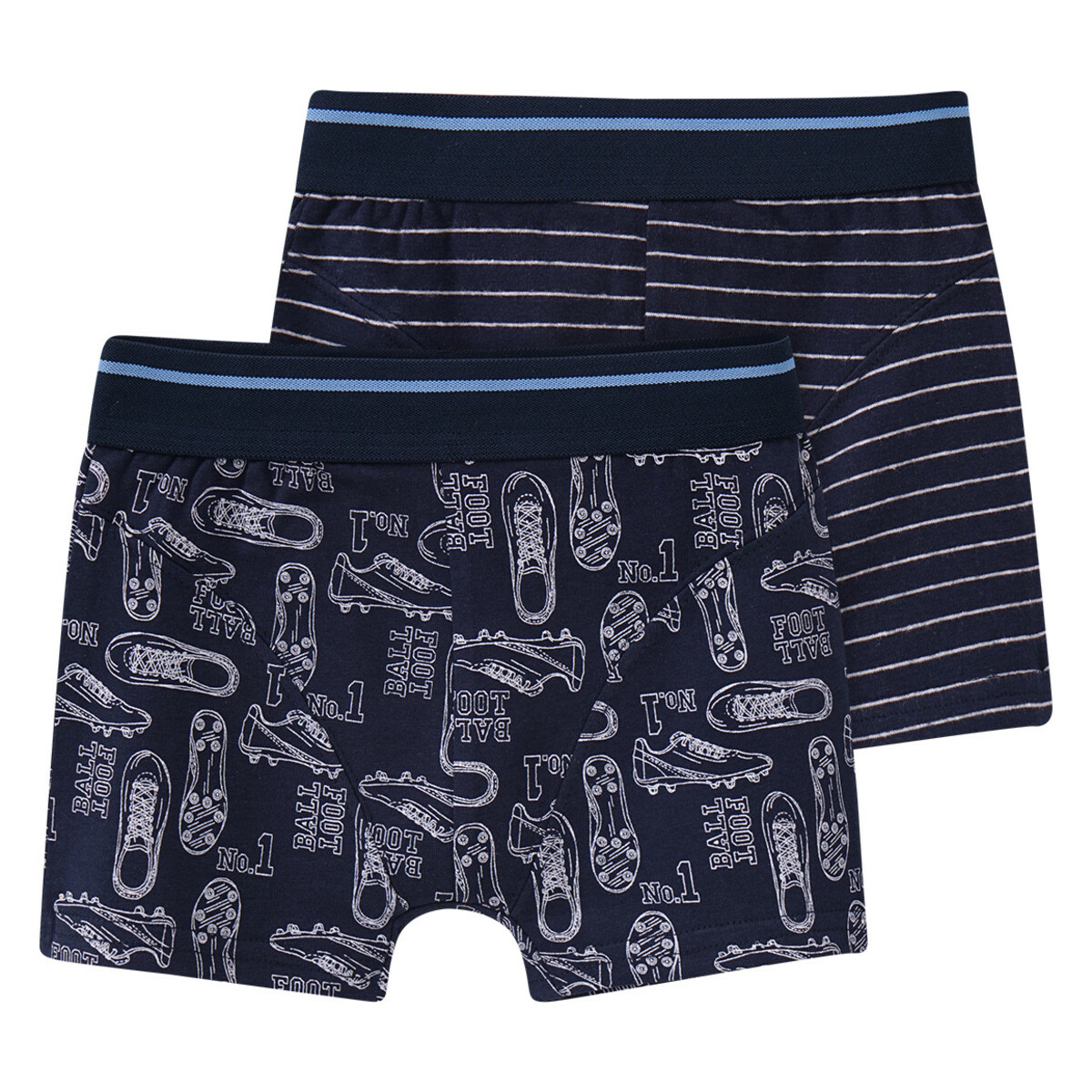 Bild 1 von 2 Jungen Boxer im Mustermix