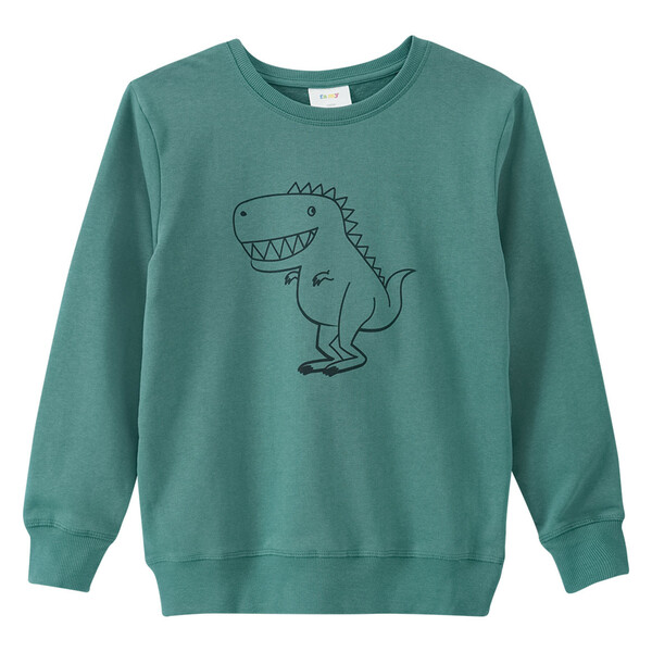 Bild 1 von Jungen Sweatshirt mit Dino-Print