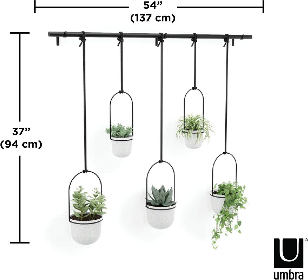 Bild 3 von Umbra Triflora WHITE Hängeblumentopf, Wandvase, Blumentopf, Blumenampel für Wand-& Deckenanbringung
