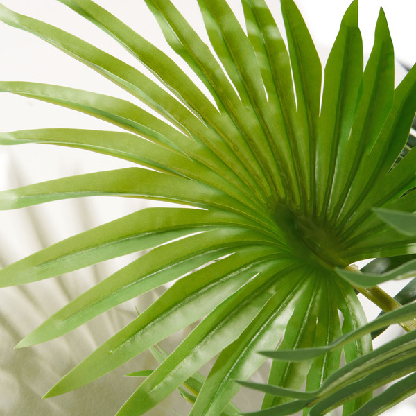 Dekopflanze Palme im Topf 120 cm von Norma ansehen!