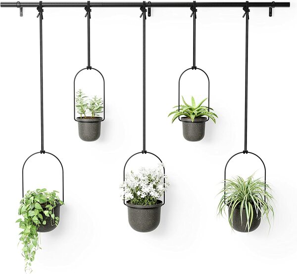 Bild 2 von Umbra Triflora BLACK Hängeblumentopf, Wandvase, Blumentopf, Blumenampel für Wand-& Deckenanbringung