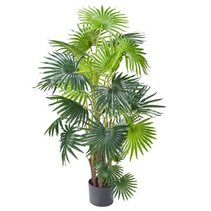 Dekopflanze Palme im Topf 120 cm