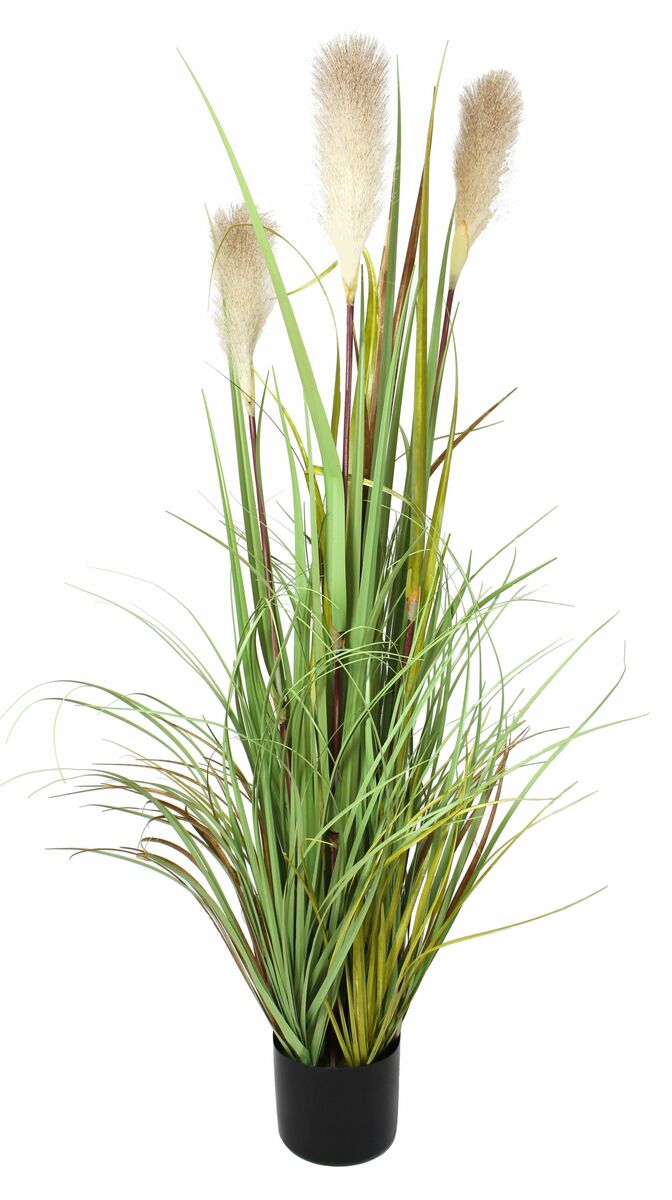 Bild 3 von HomeLiving Deko-Topfpflanze "Uferschilf" Grünpflanze Blüte Kunst Topf Tisch Deko Raum