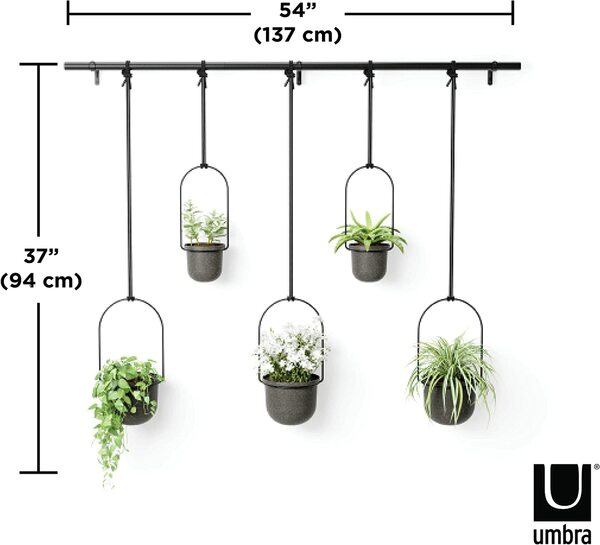 Bild 3 von Umbra Triflora BLACK Hängeblumentopf, Wandvase, Blumentopf, Blumenampel für Wand-& Deckenanbringung