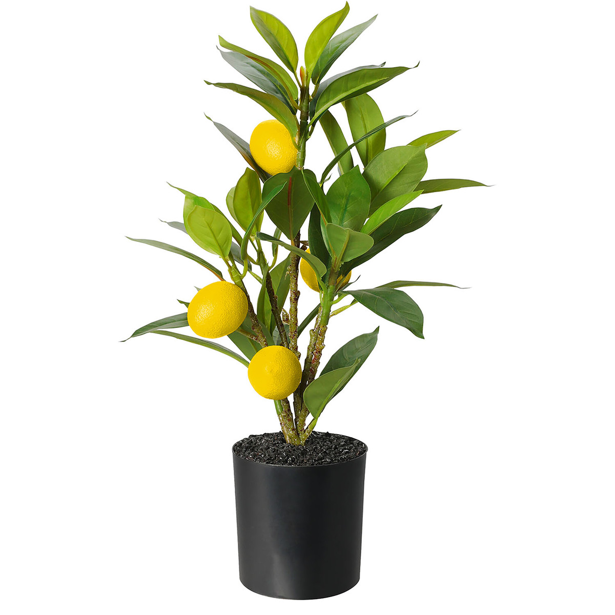 AMARE Kunstpflanze Zitronenbaum 43 cm im Topf von Norma ansehen!