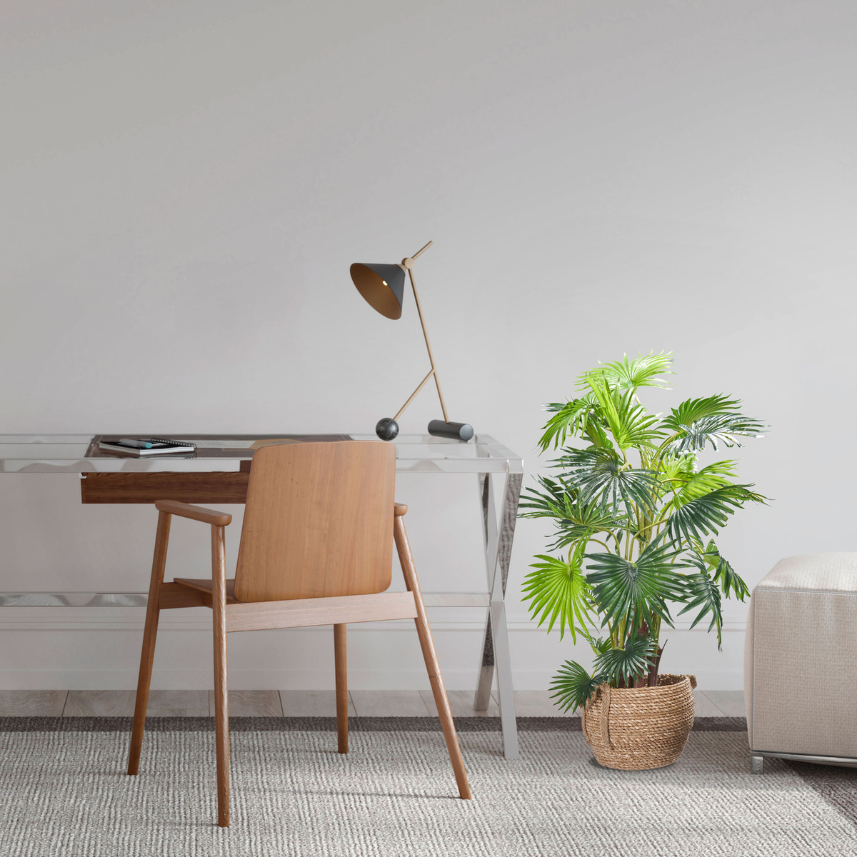 Bild 3 von Dekopflanze Palme im Topf 120 cm