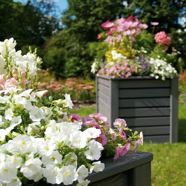 Bild 3 von Hochbeet Rhombus