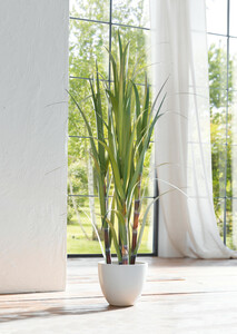 HomeLiving Deko-Topfpflanze "Bambus" Grünpflanze Blüte Kunst Topf Tisch Deko Raum