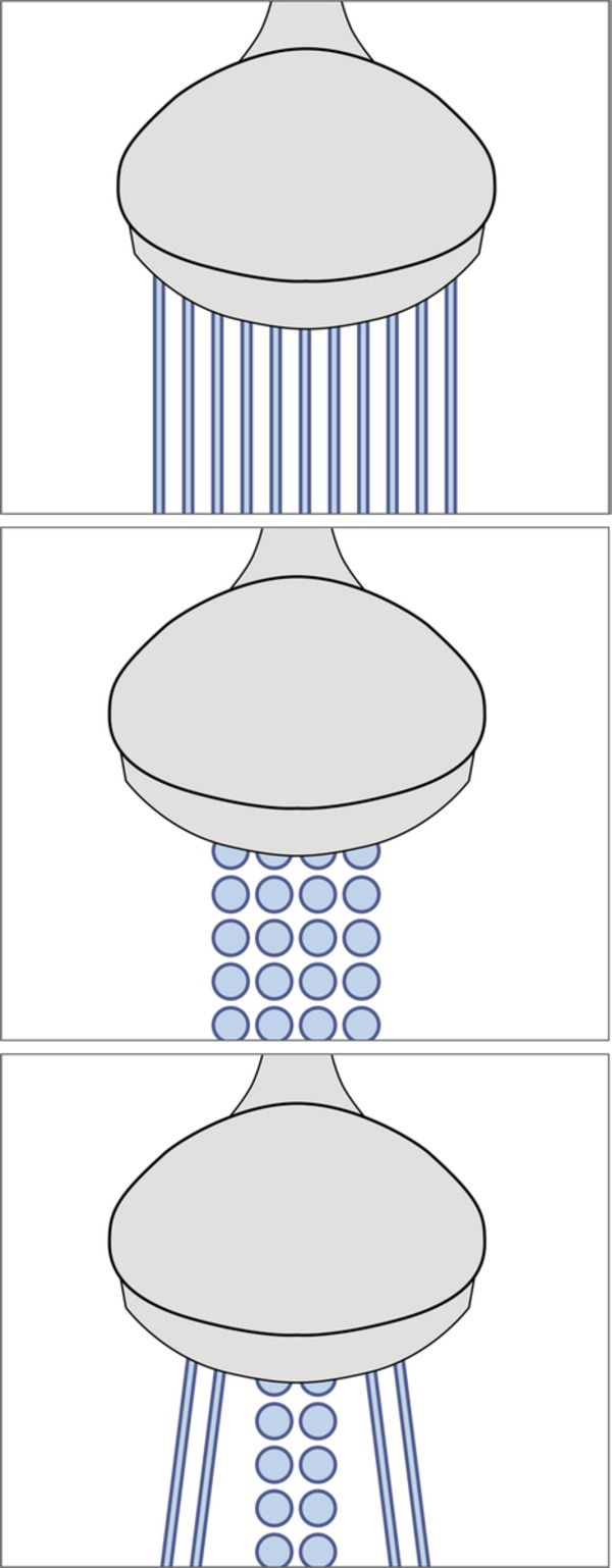 Bild 4 von IDEENWELT Duschkopf 3in1