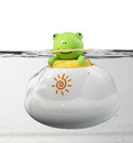 Bild 2 von IDEENWELT Wasserspielzeug Frosch