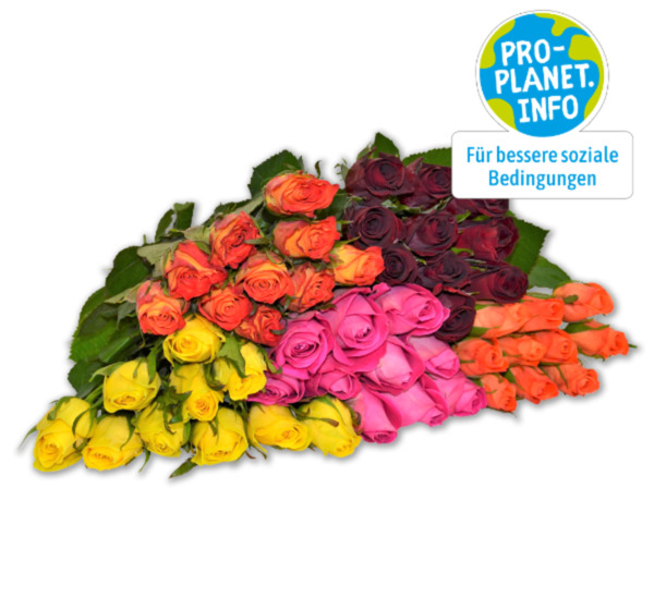 Bild 1 von Wunderschöne Fairtrade Rosen