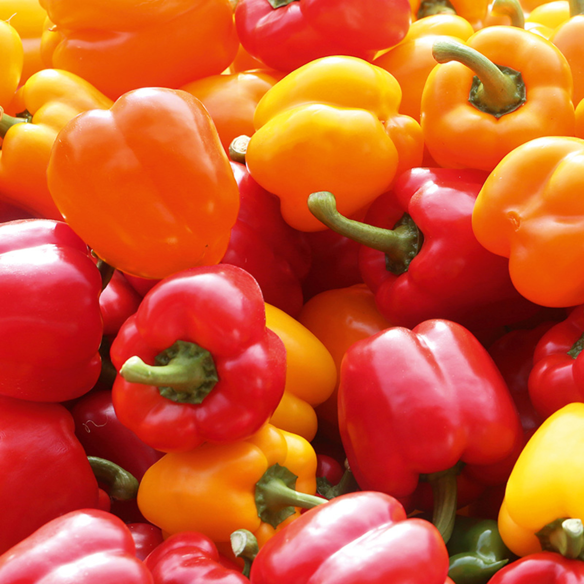 Bild 2 von Ernte Krone Fresh Paprika Sweet Mix