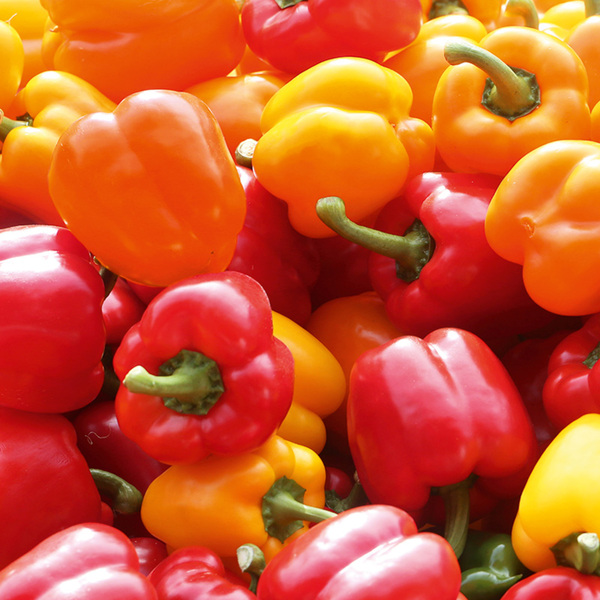 Bild 2 von Ernte Krone Fresh Paprika Sweet Mix