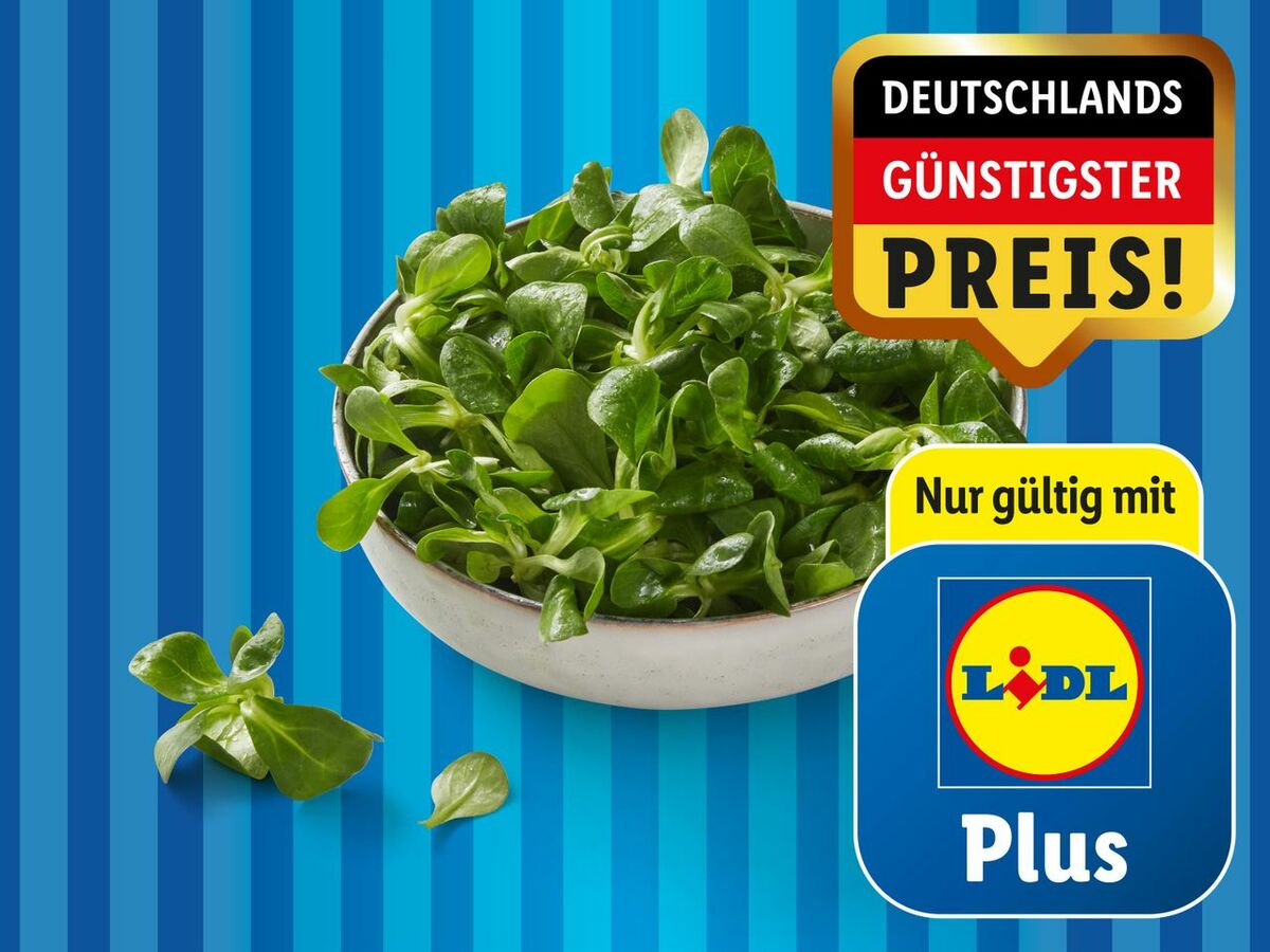 Bild 1 von Bio Feldsalat