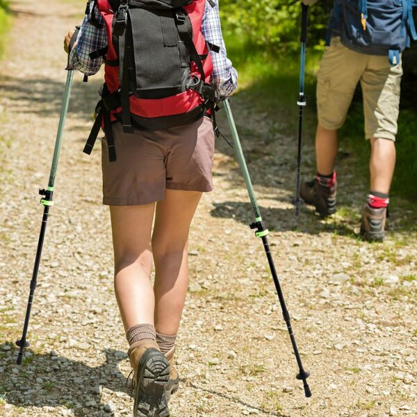Bild 4 von ADVENTURIDGE Trekkingstöcke