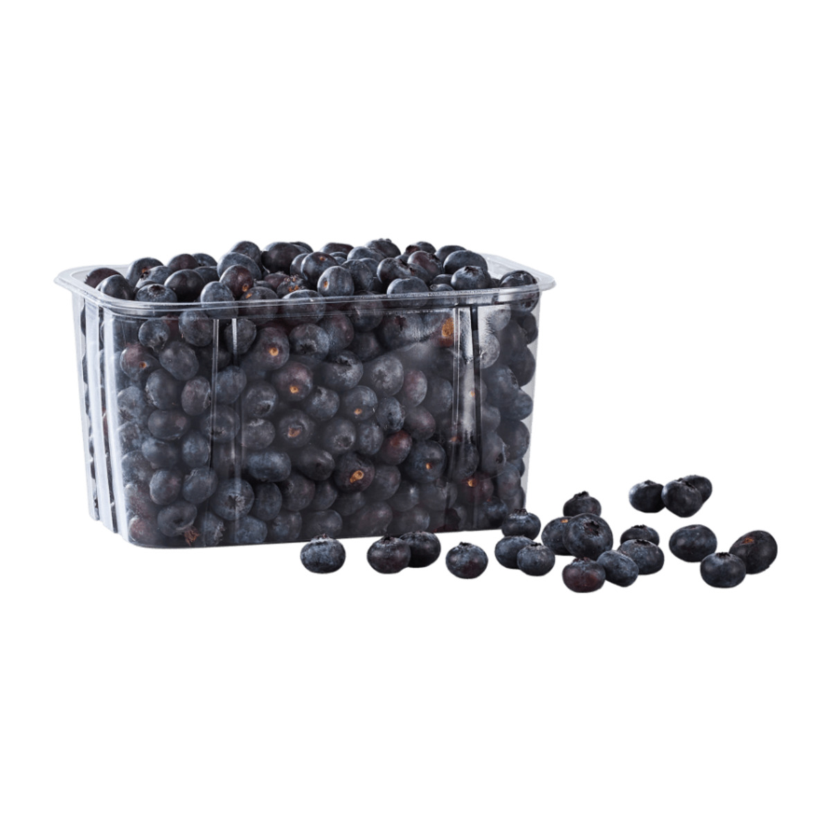 Bild 1 von Kulturheidelbeeren