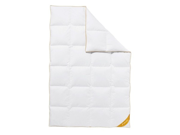 Bild 4 von Balette deLuxe Gänsedaunen-Kassettenbettdecke Gold-Edition warm