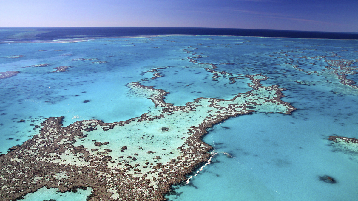 Bild 1 von Südsee & Sydney - Kreuzfahrt & Baden auf Bali - Carnival Splendor