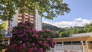 Deutschland - Harz - Bad Lauterberg - 3* Panoramic Hotel