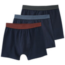 Bild 1 von Jungen Boxer mit farbigem Bund