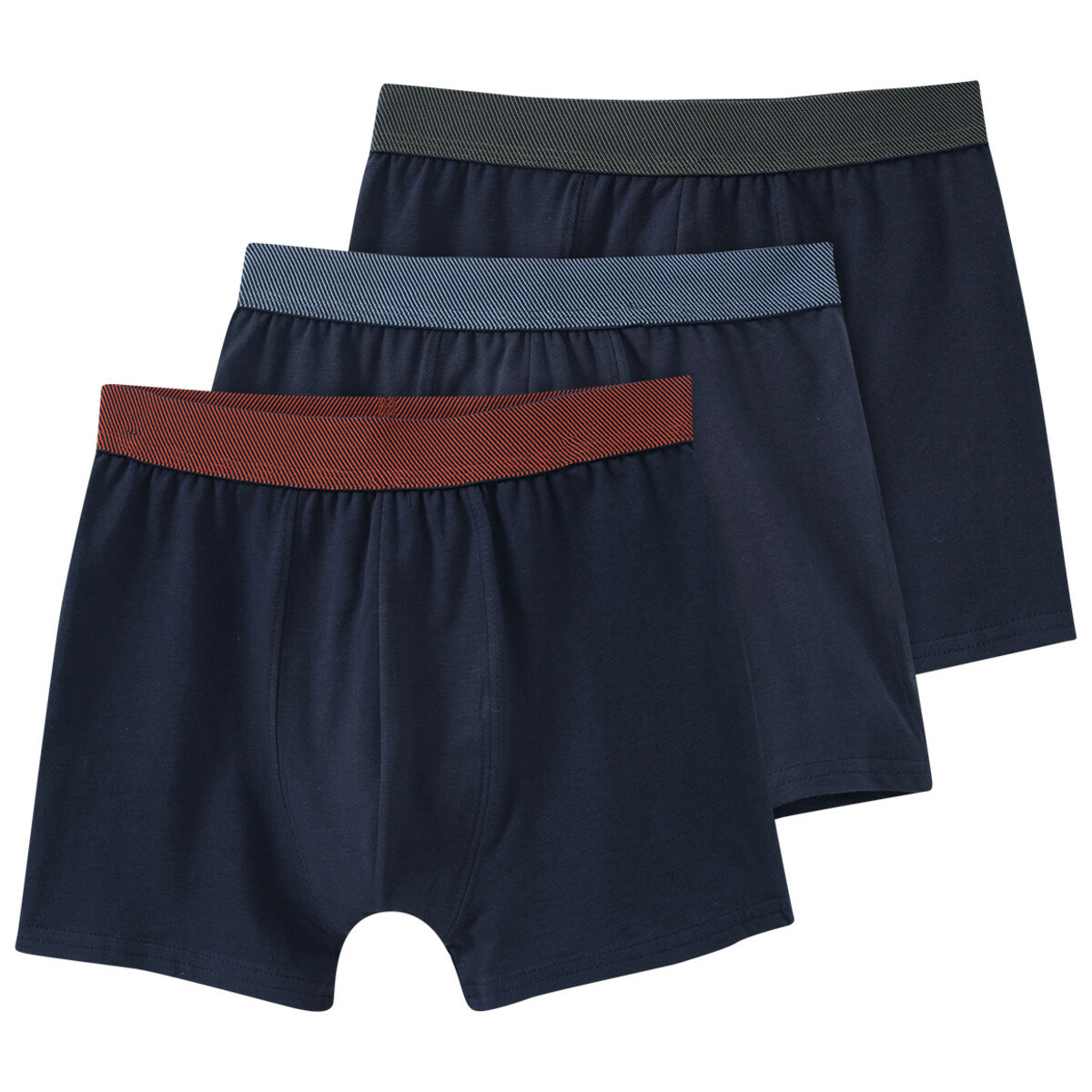 Bild 1 von Jungen Boxer mit farbigem Bund