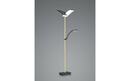 Bild 2 von LED-Standleuchte Delara in champagner/schwarz, 182 cm