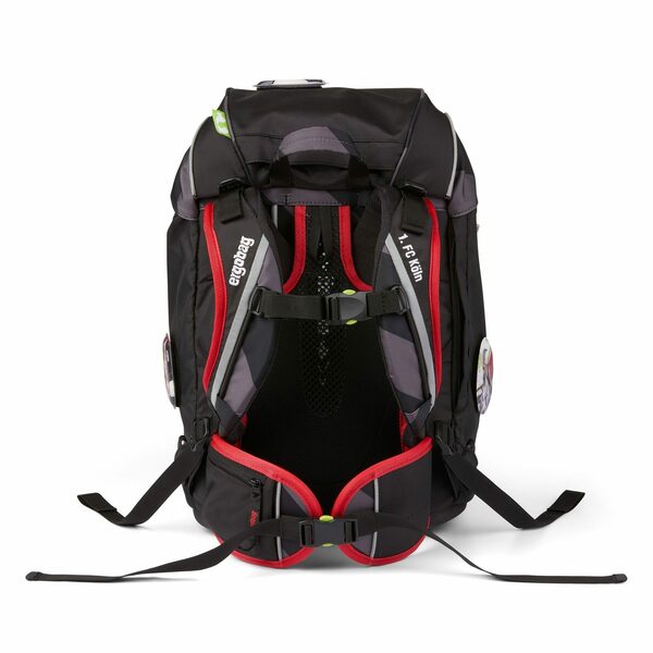 Bild 4 von ergobag Schulranzen Pack, PET