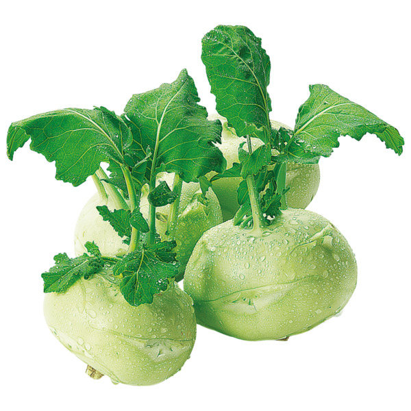 Bild 1 von Kohlrabi