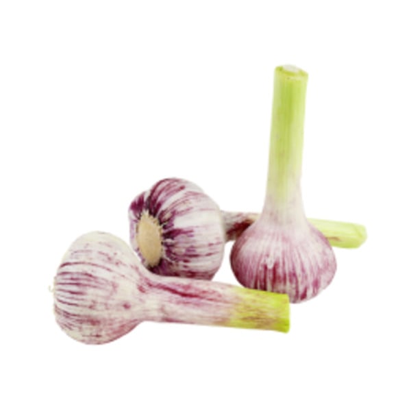 Bild 1 von Deutschland Frischer Knoblauch