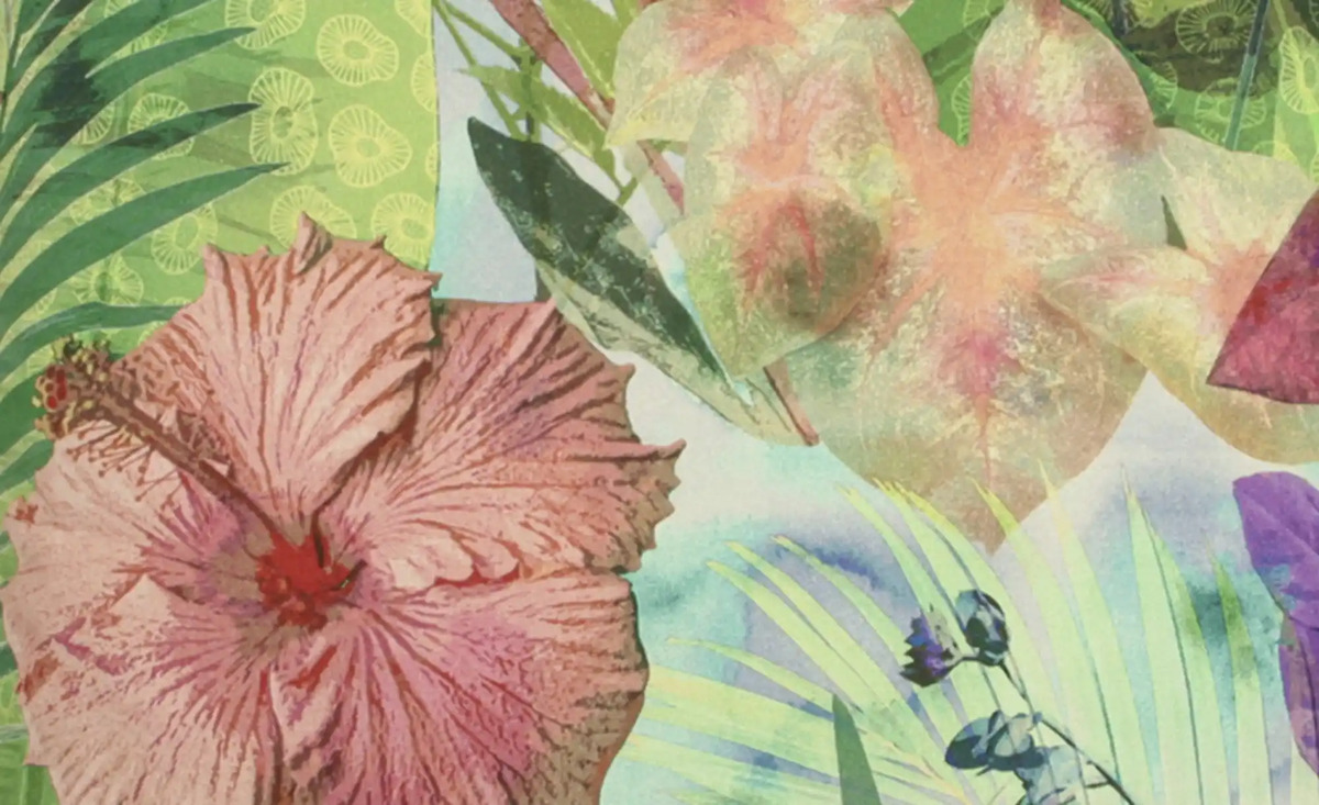 Bild 4 von Auflage  Tropical