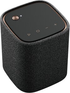 WS-B1A Bluetooth-Lautsprecher carbon grau