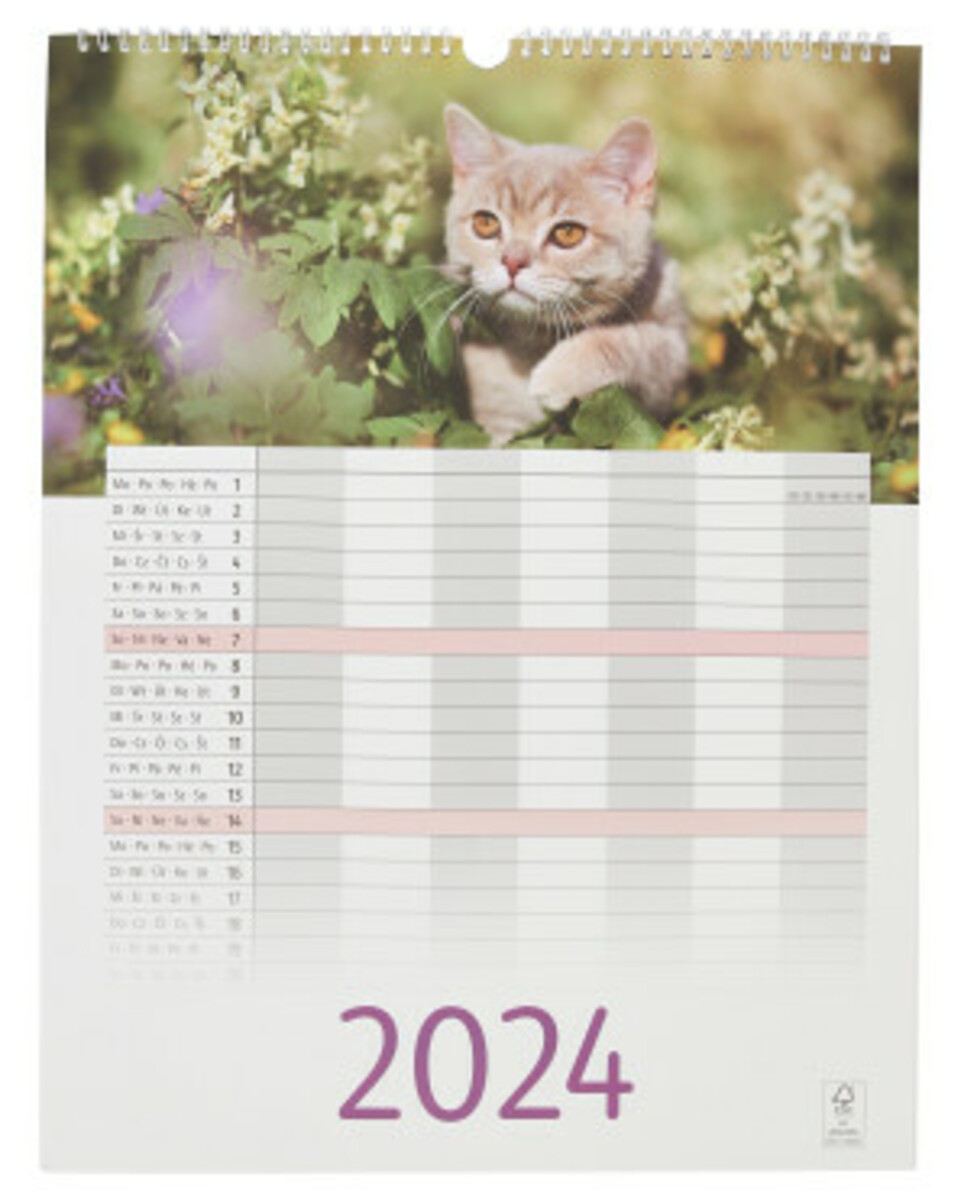 Bild 1 von Familienplaner