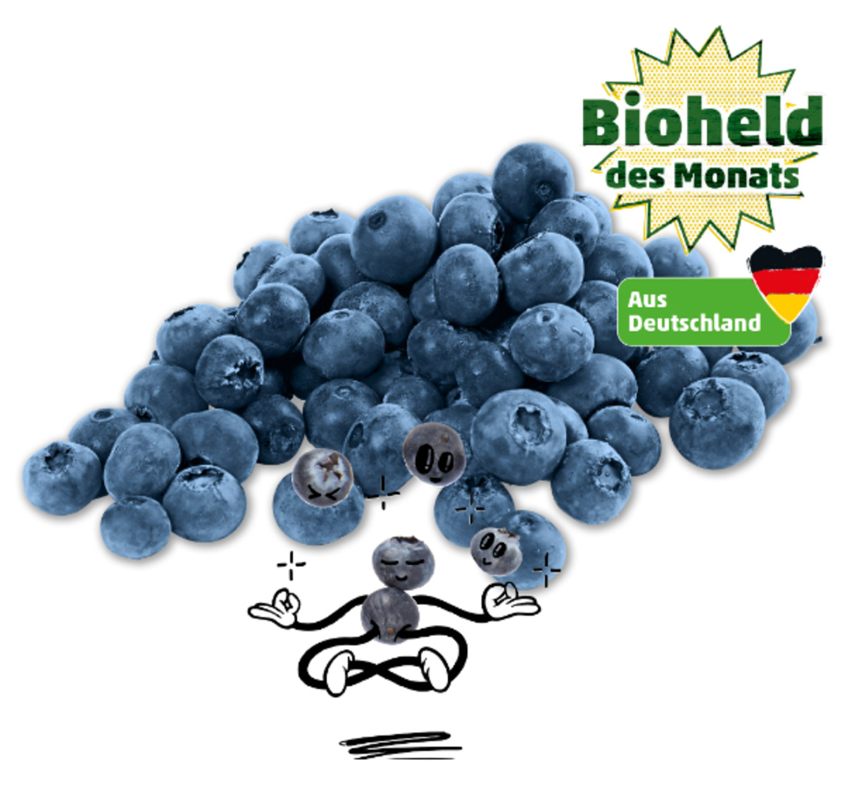 Naturgut Deutsche Bio Heidelbeeren Von Penny Markt Ansehen