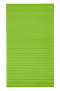Lichtblick Plissee Klemmfix, ohne Bohren, verspannt - Grün, 60 cm x 130 cm (B x L)