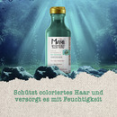 Bild 2 von Maui Moisture Hair Care Colour Protection + Sea Minerals Conditioner