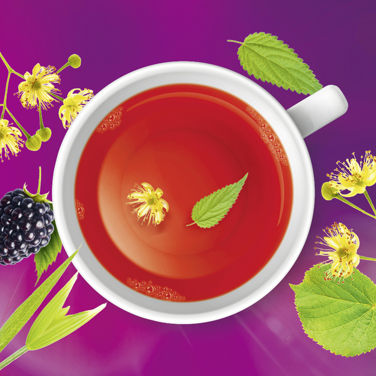 Bild 3 von Bad Heilbrunner Kräutertee Basisch Vital