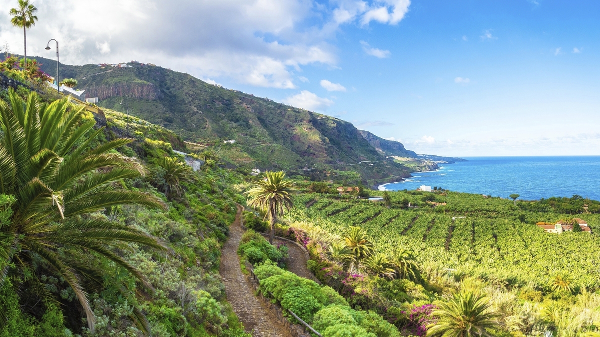 Bild 1 von Teneriffa - 3* Hotel Route Active