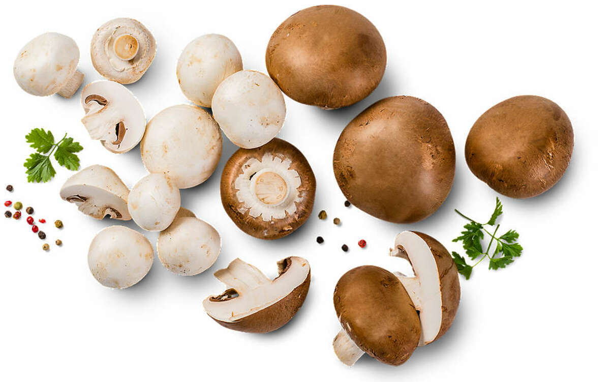 Bild 1 von Poln. Kulturchampignons, braun oder weiß