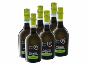 6 x 0,75-l-Flasche Weinpaket BIO Tenuta Brian Prosecco Treviso DOC extra dry, Schaumwein