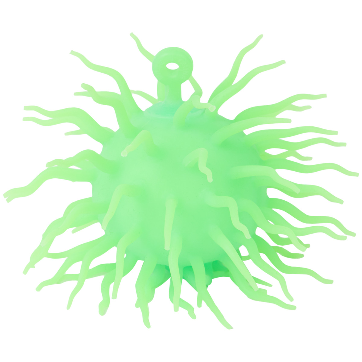 Bild 1 von Spike Wuschelball