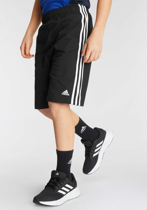 Bild 2 von adidas Sportswear Shorts ESSENTIALS 3-STREIFEN KNIT