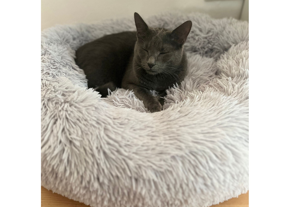 Bild 2 von Tier-Plüschbett Donut 70cm Hellgrau