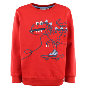 Jungen Sweater mit Dinoprint