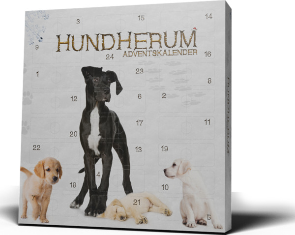 Bild 1 von Hundherum Adventskalender 2023