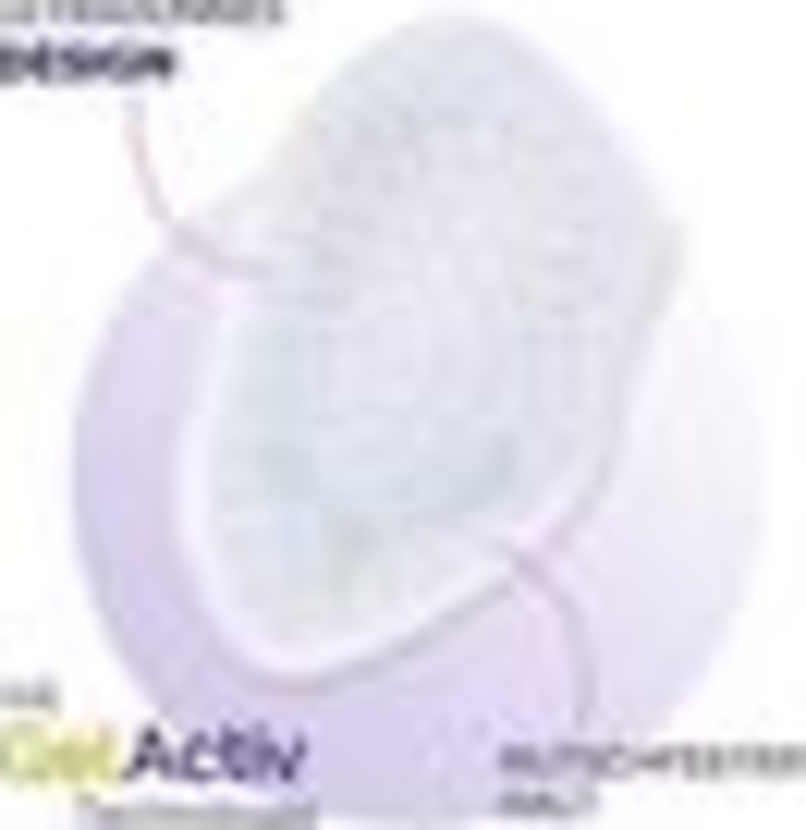 Bild 4 von Scholl Party Feet Ballenpolster