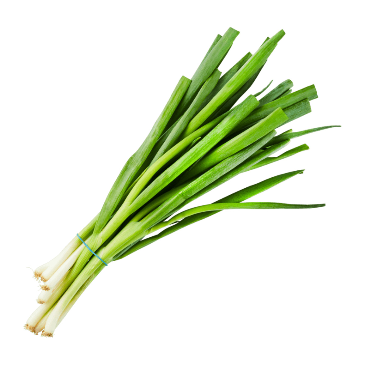 Bild 1 von Lauchzwiebeln