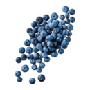 Bild 1 von Kulturheidelbeeren