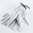 Bild 3 von Powertec Garden Ziegenlederhandschuhe