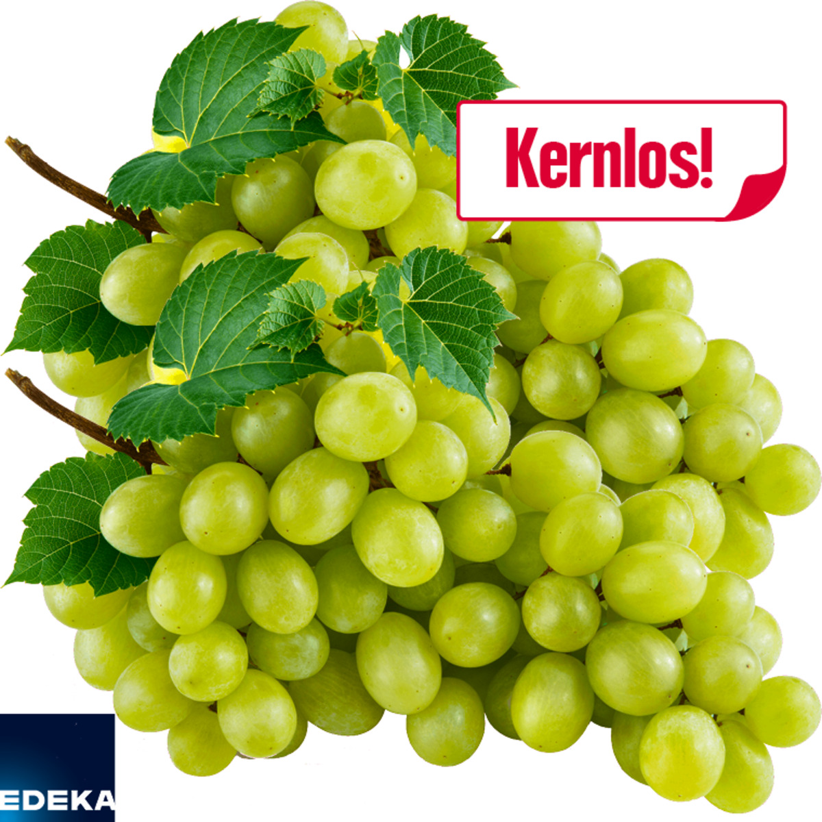 Bild 1 von Tafeltrauben