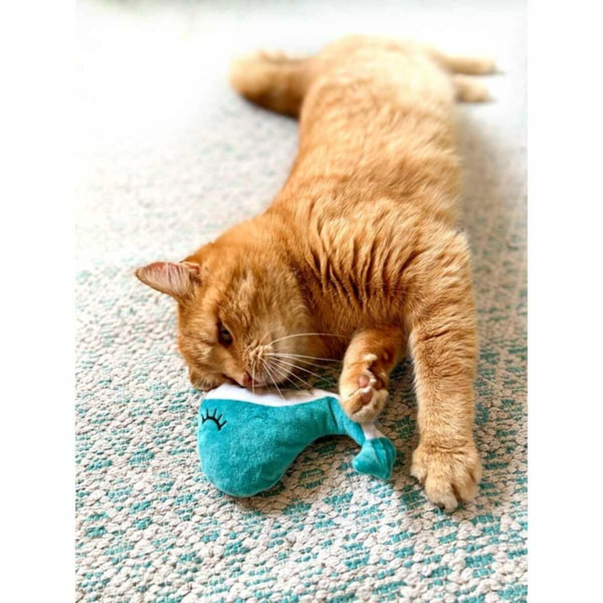 Bild 4 von Aumüller Katzenspielkissen Wal